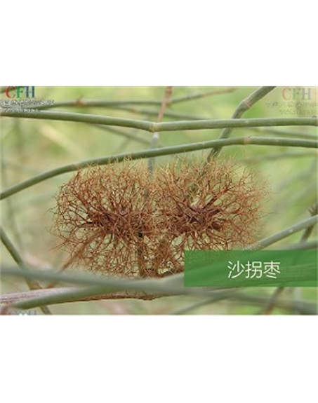 标题：名贵树种
浏览次数：1542
发表时间：2020-10-17