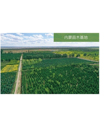 标题：苗木基地
浏览次数：1934
发表时间：2020-10-17