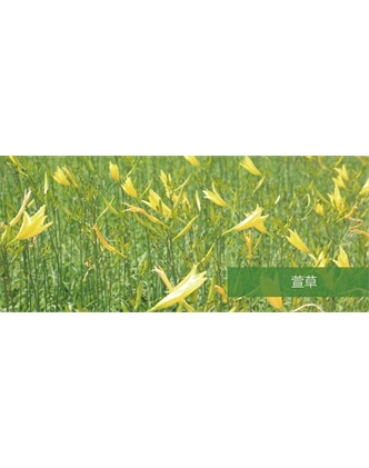 标题：地被
浏览次数：1559
发表时间：2020-10-17