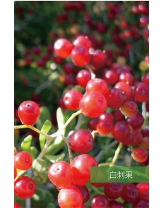 标题：名贵树种
浏览次数：1364
发表时间：2020-10-17