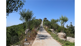 标题：张家口太子山山体修复
浏览次数：18403
发表时间：2020-11-12