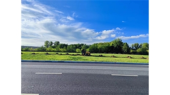 标题：伊利现代智慧健康谷道路绿化建设项目
浏览次数：1427
发表时间：2023-11-07